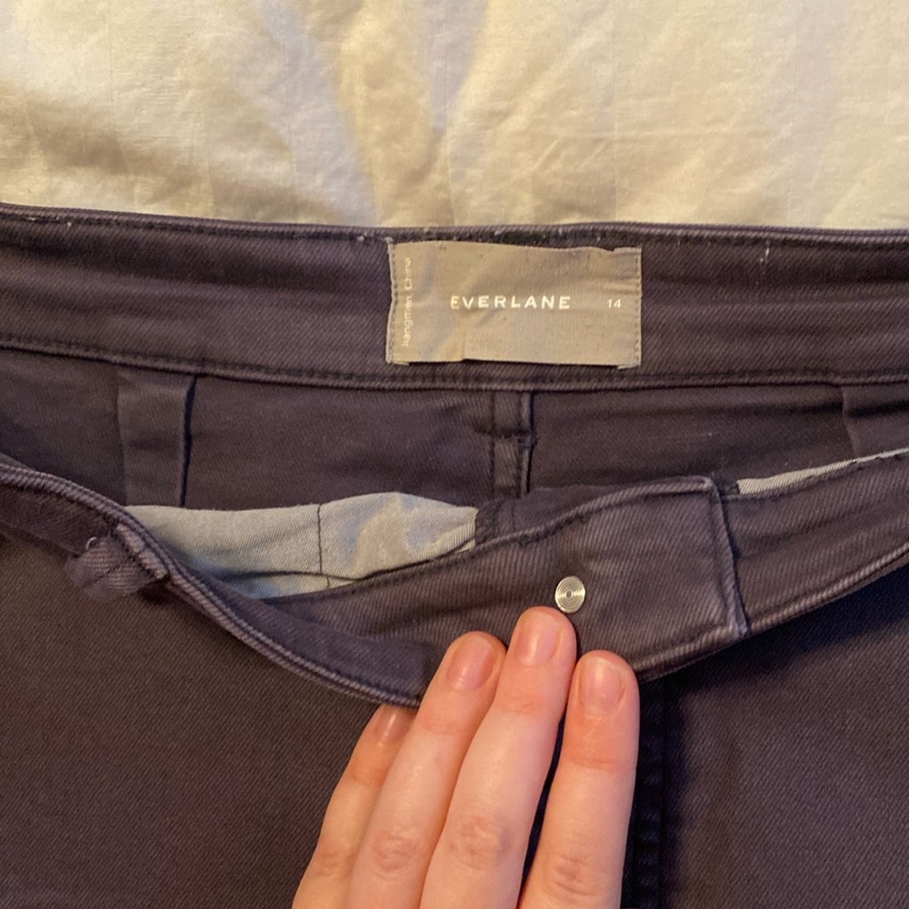Everlane wide leg pants. Size 14. One is gray/purple color and the other black.